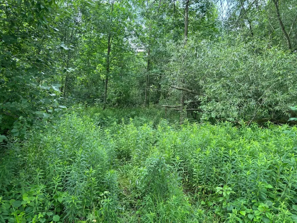 Picture 7