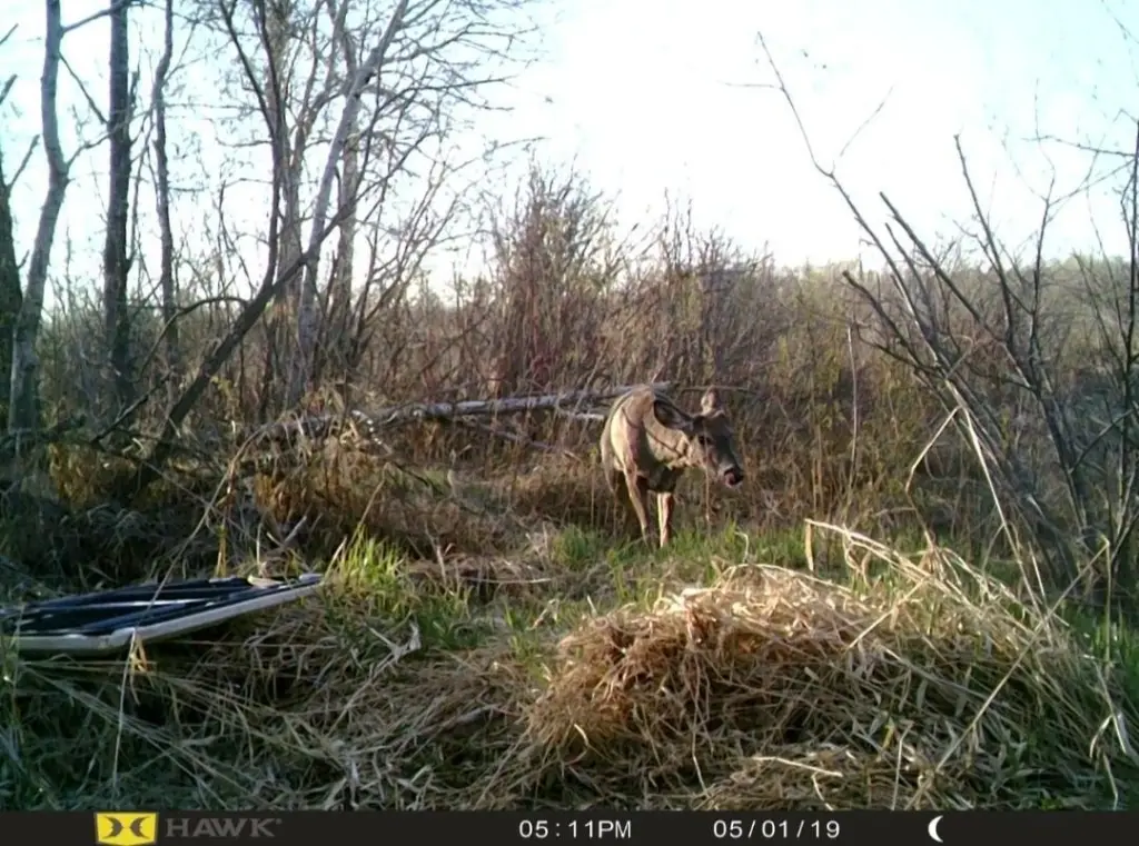 Picture 14