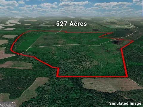 527 Acres in Ware County