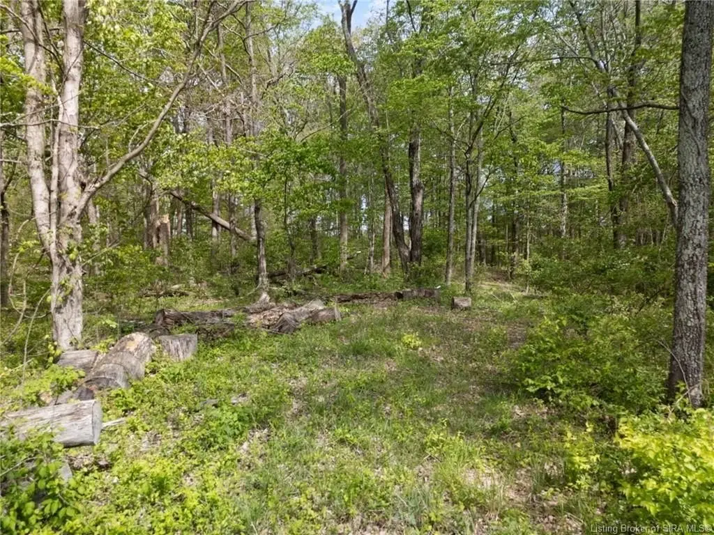 Picture 13