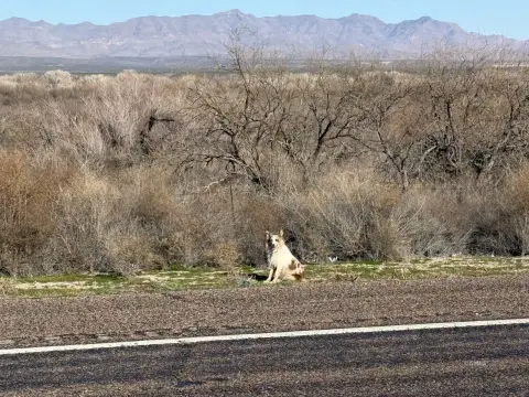 Pima, AZ Vacant Land