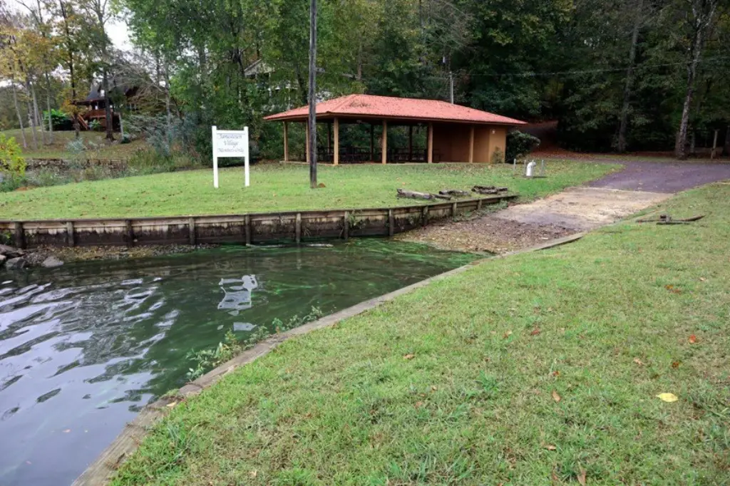 Picture 2