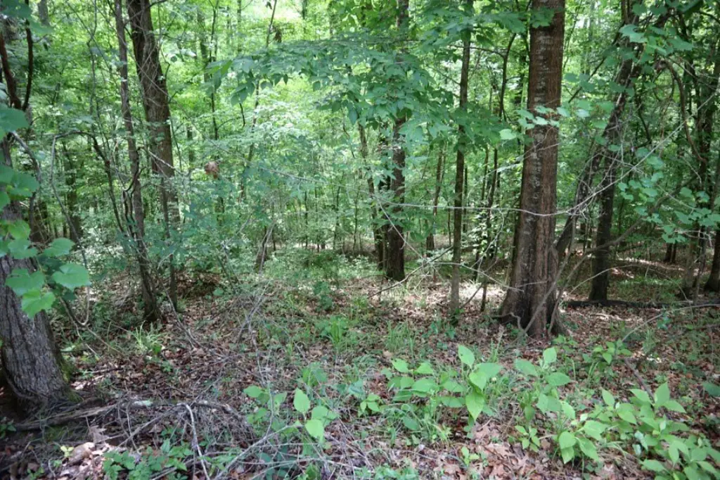 Picture 6