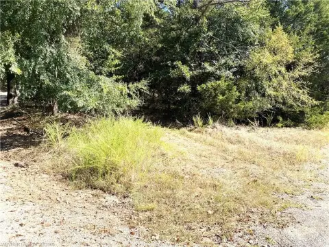 Secluded Recreational Land in Mulberry