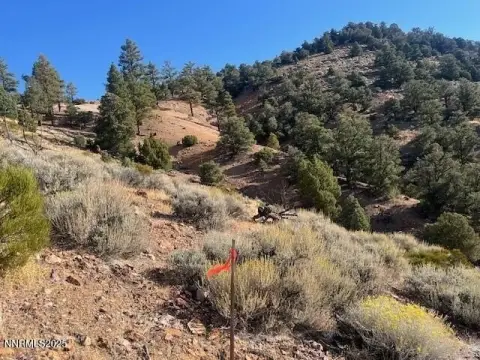 Virginia City Highlands Land Parcel