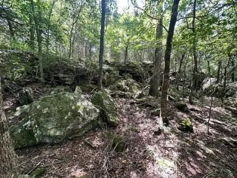Recreational Land with Creek