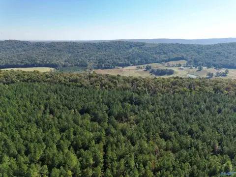 Recreational Timberland with Trail Network