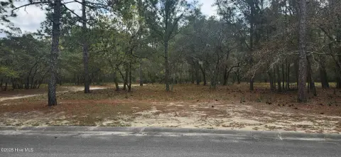 Residential Lot in Amenity-Rich Community