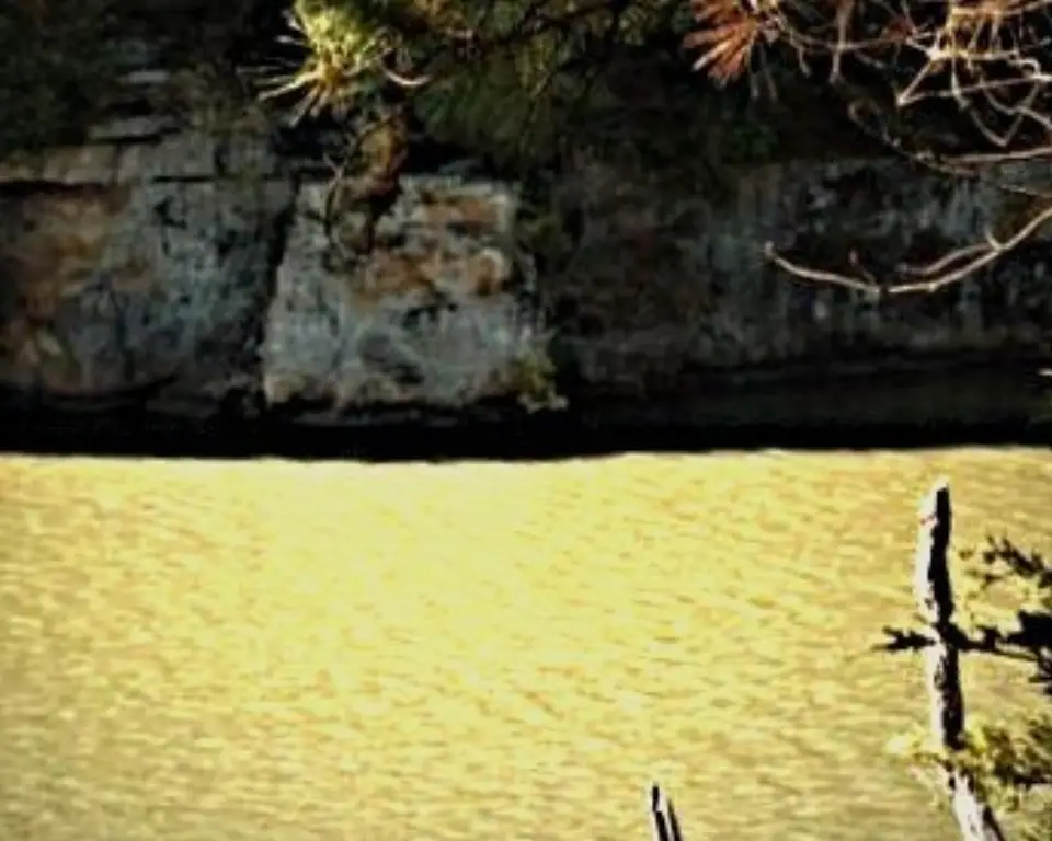 Picture 2
