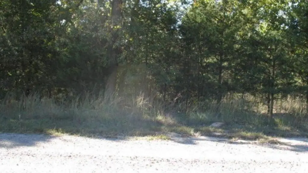 Picture 3