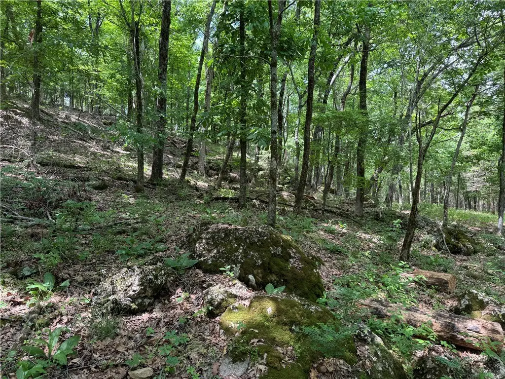 Picture 11