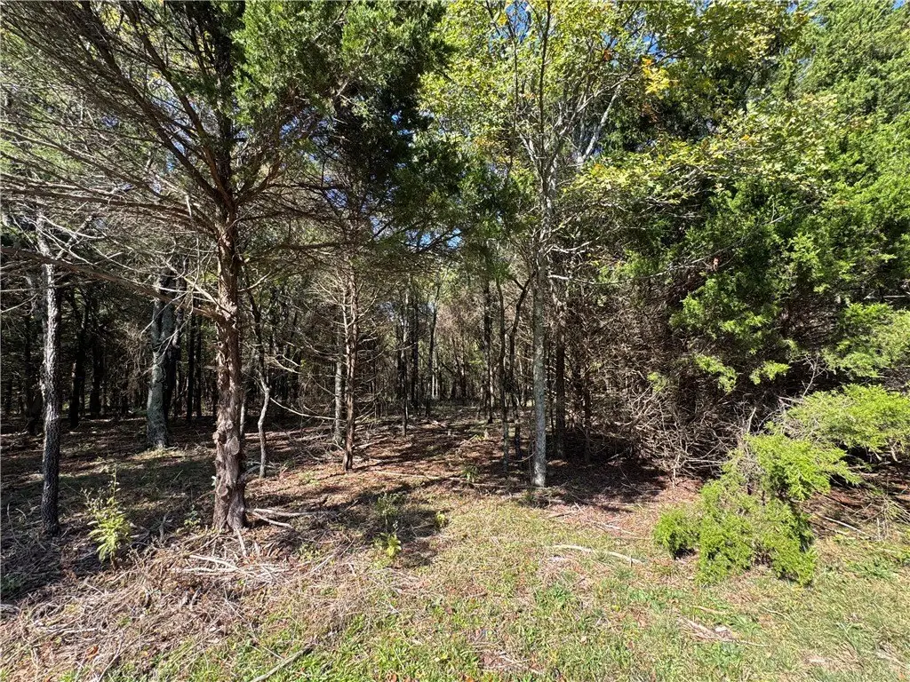 Picture 13