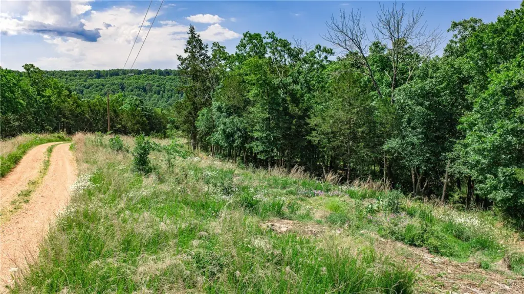 Picture 29