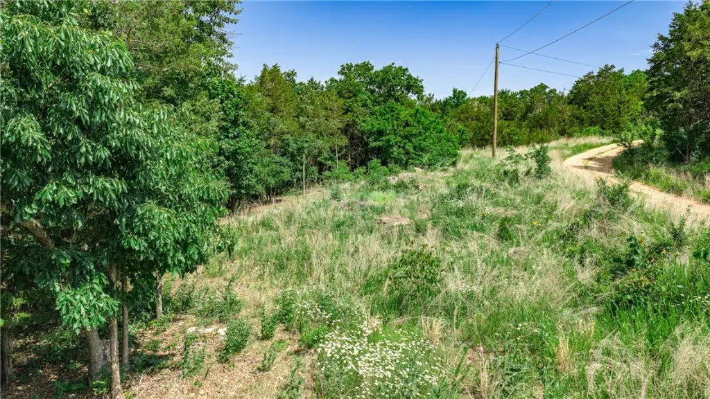 Picture 25