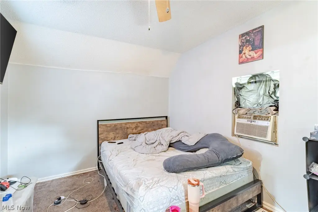 Picture 12