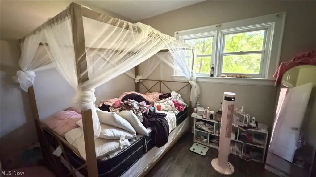 Picture 8