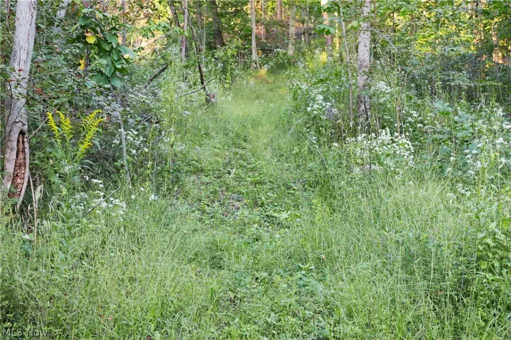 Picture 16