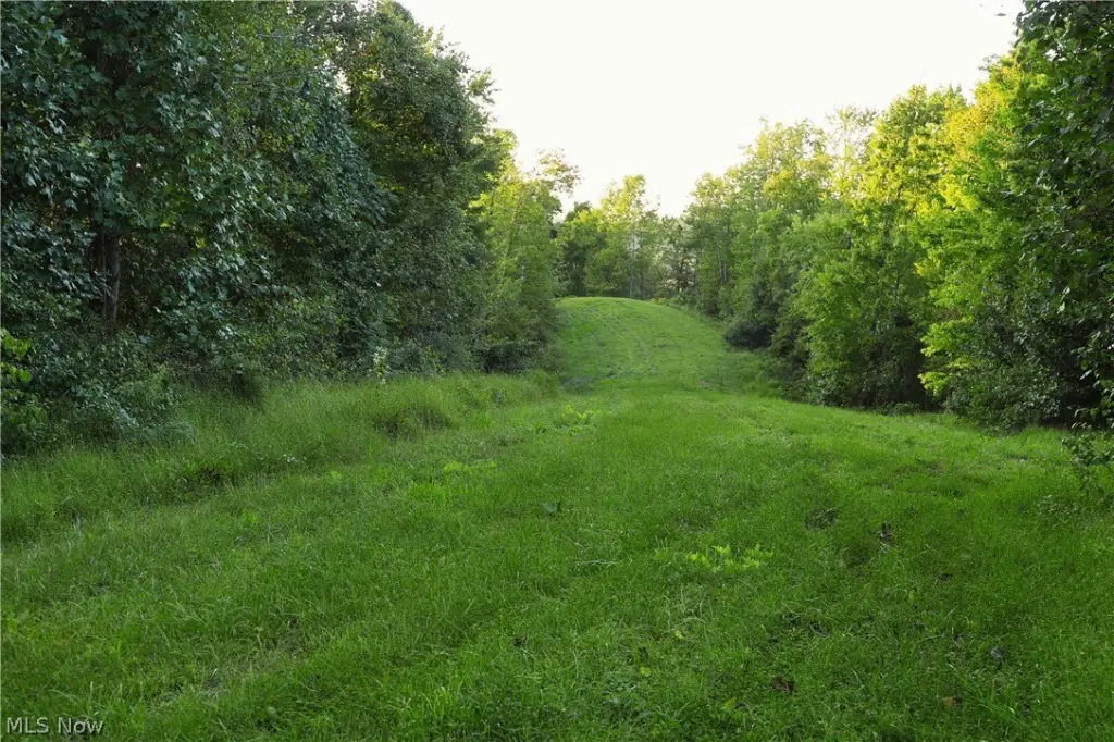 Picture 4