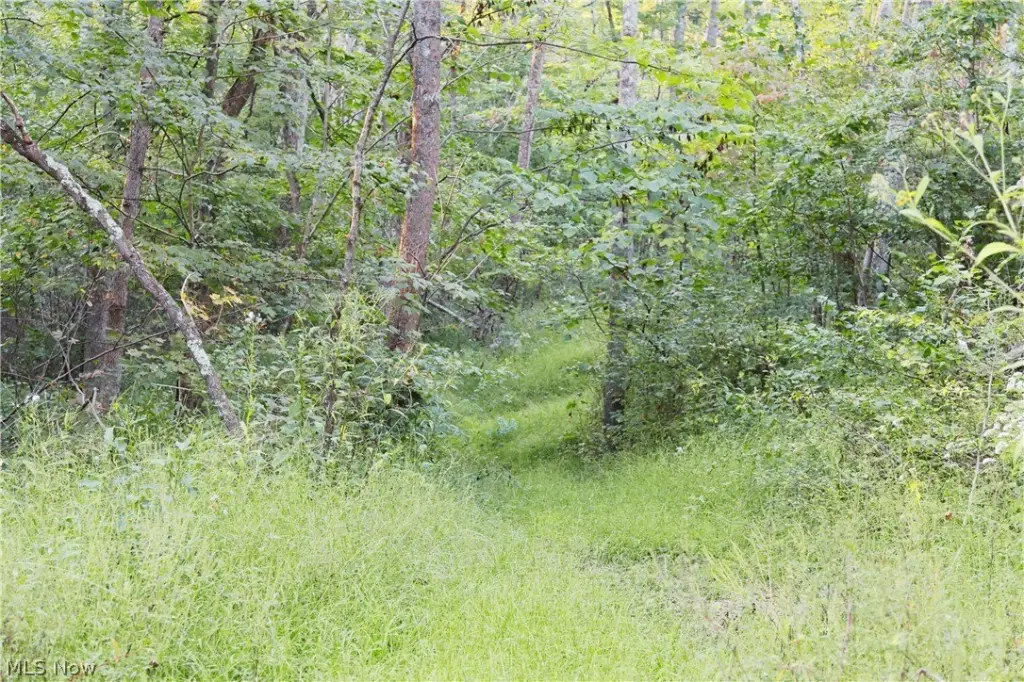 Picture 17