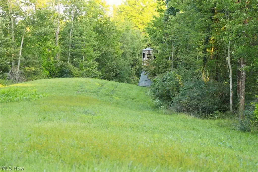 Picture 22