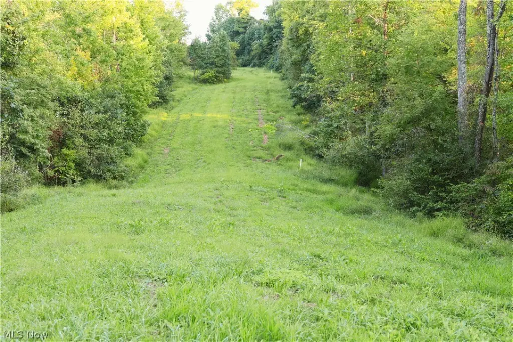 Picture 5