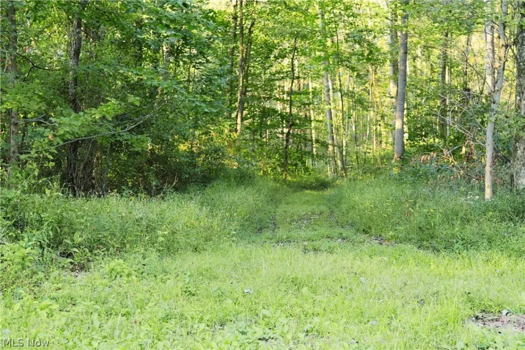 Picture 36