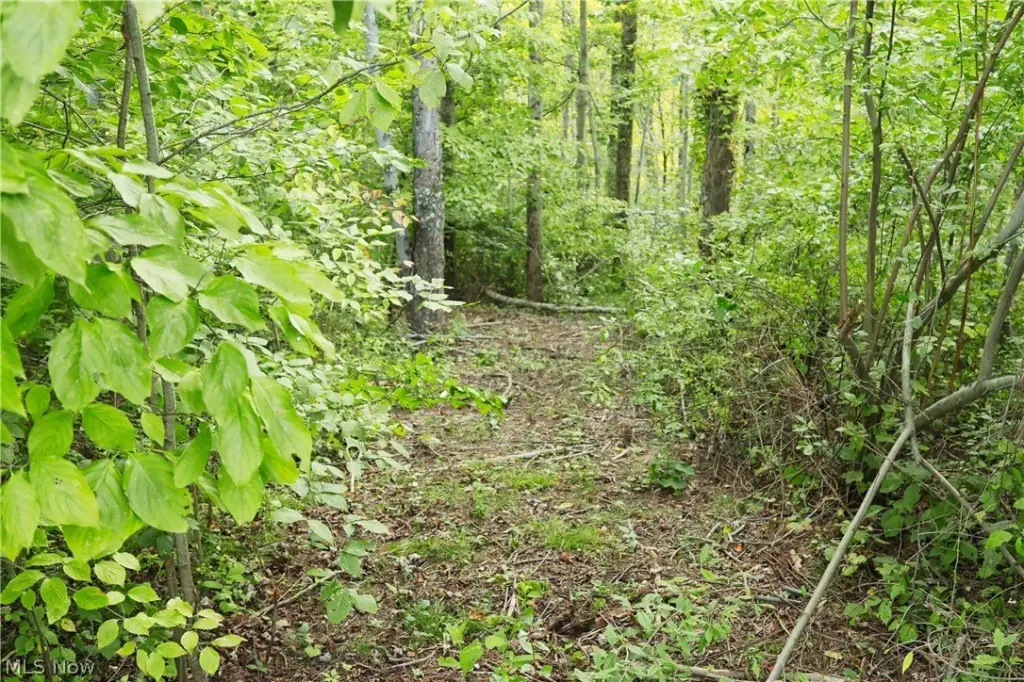Picture 23