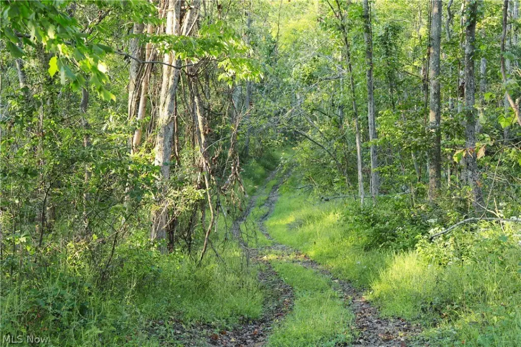 Picture 38