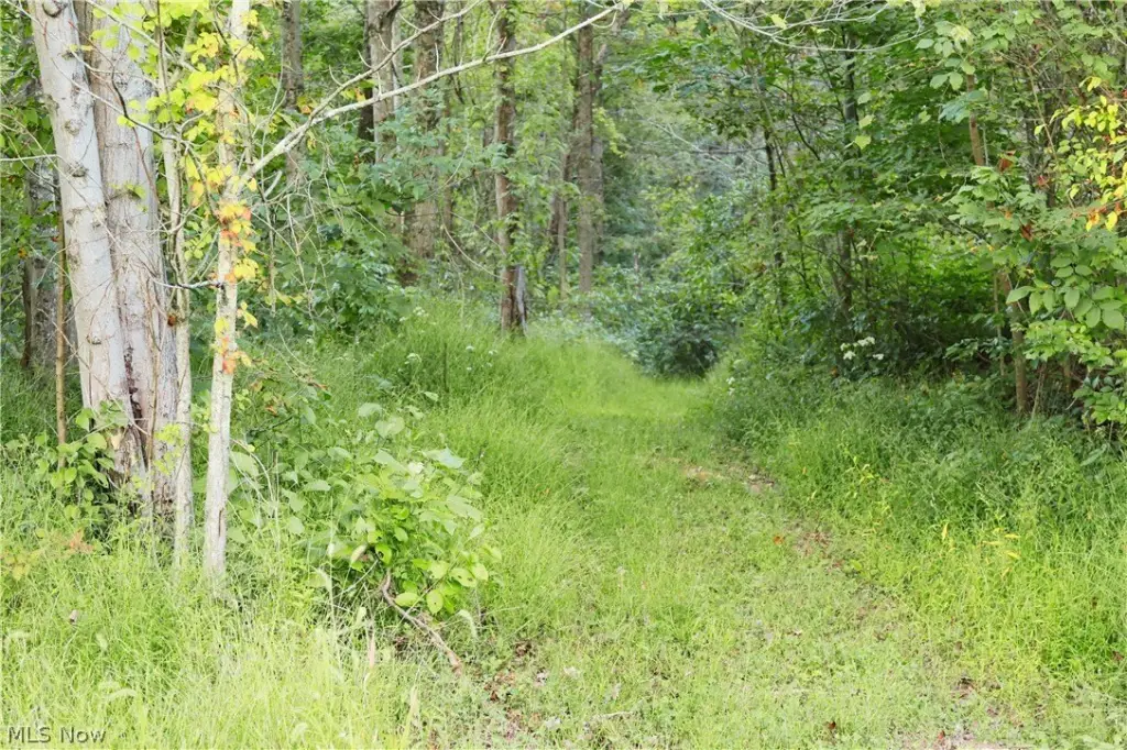 Picture 24