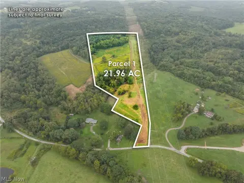 Wooded Hunting Land
