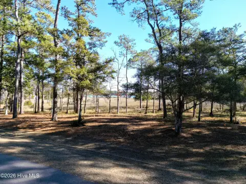 Marsh View Homesite Opportunity
