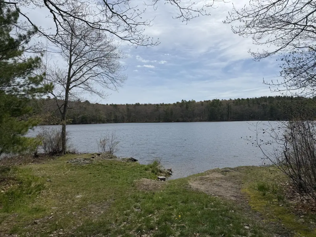 Picture 5