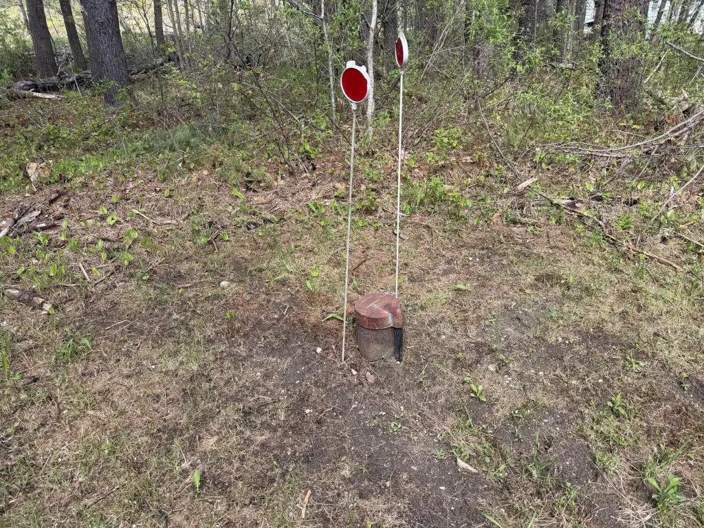 Picture 2