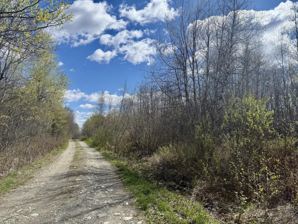 Picture 19