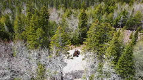 East Machias Wooded Lot