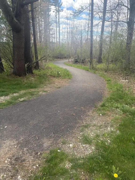 Picture 31