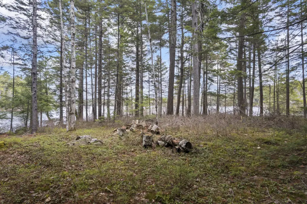 Picture 23