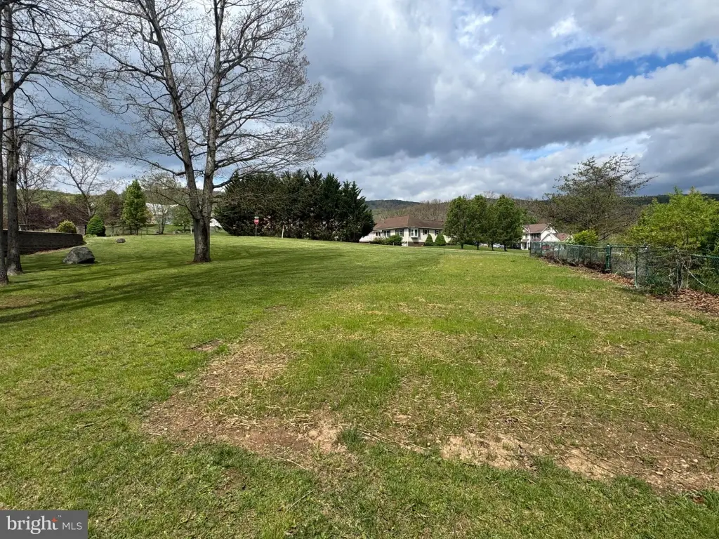 Picture 5