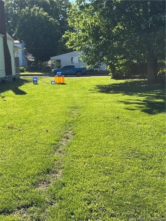 Picture 5