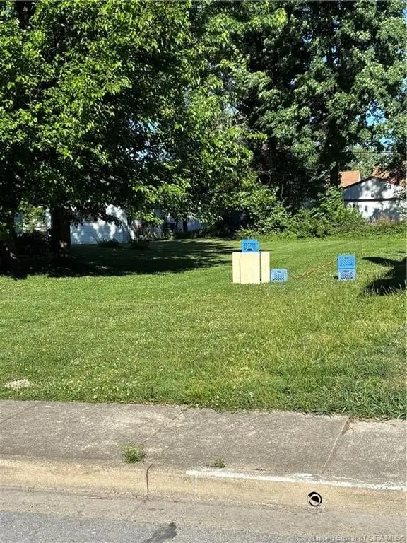Picture 8