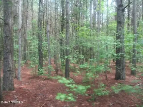 82 Acres of Rural Land