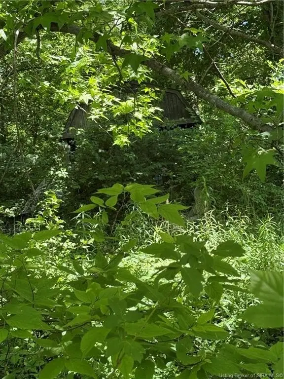 Picture 4