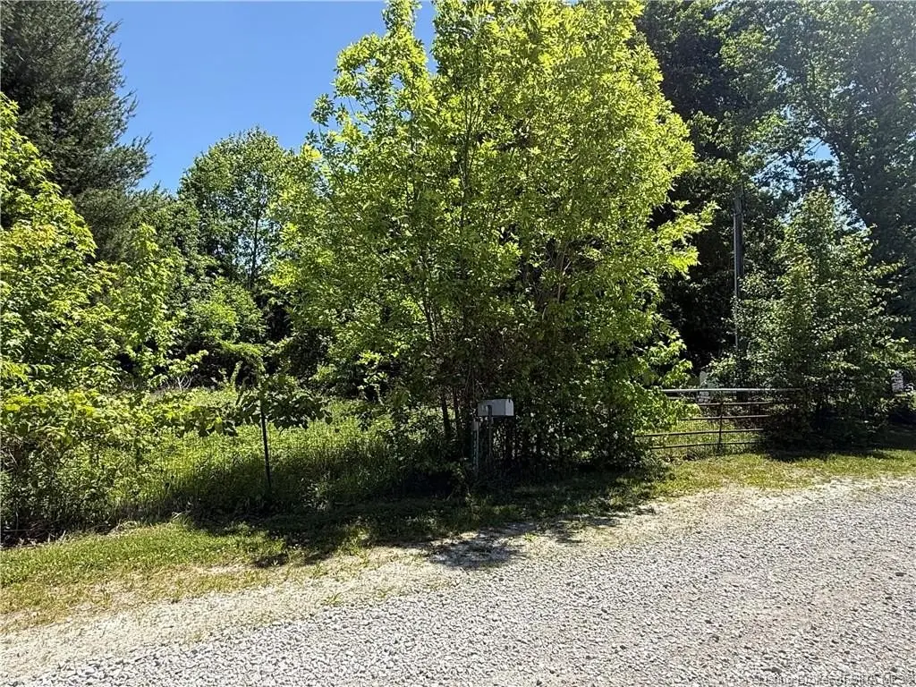 Picture 6