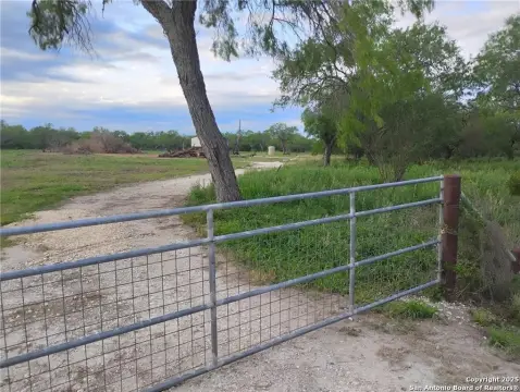 8.1 Acres in George West