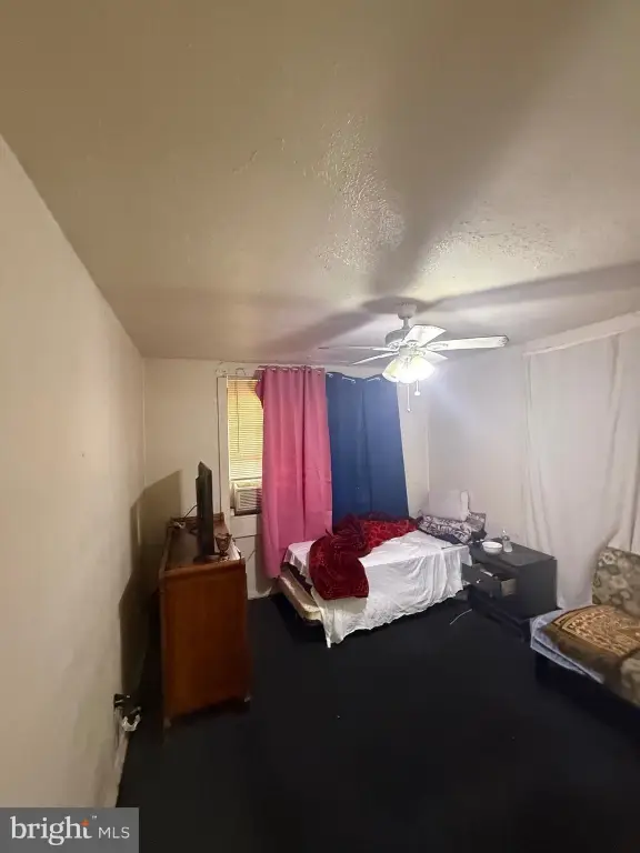 Picture 26