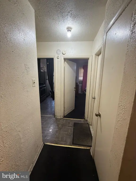 Picture 28