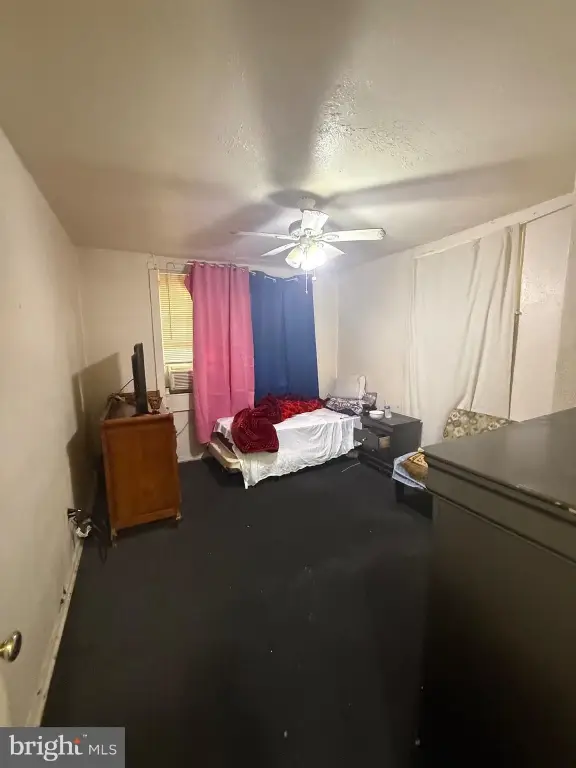 Picture 27