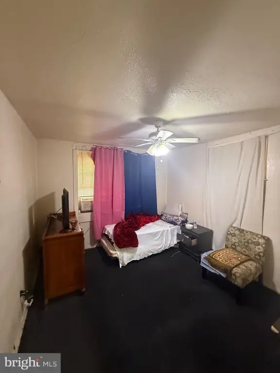 Picture 23