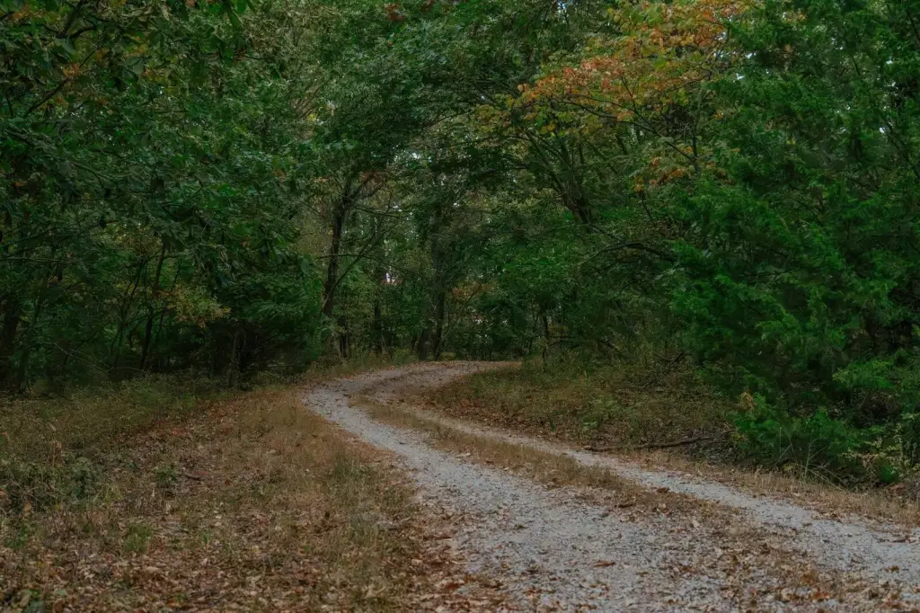Picture 31