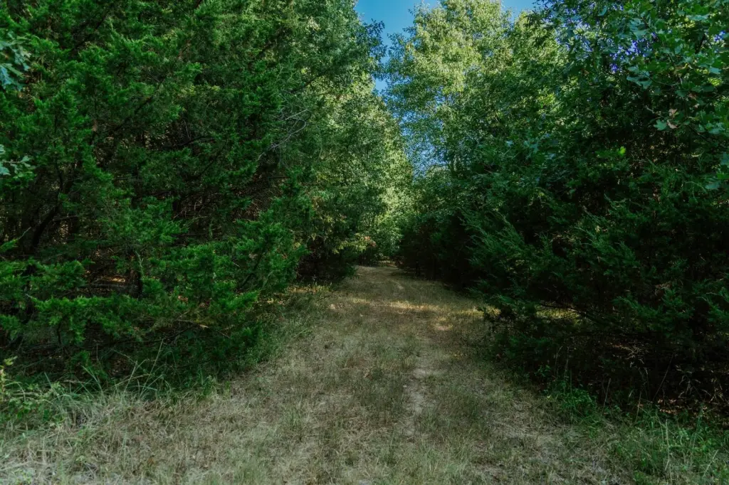 Picture 62